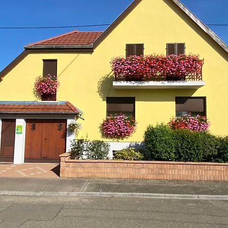 Alsace Clim Pres Colmar Jardin Balcon Parking Garage Velos, Motos Oberhergheim Eksteriør billede