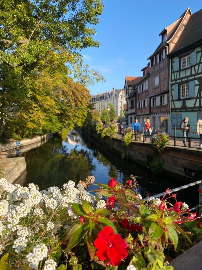 Alsace Clim Pres Colmar Jardin Balcon Parking Garage Velos, Motos Oberhergheim Eksteriør billede