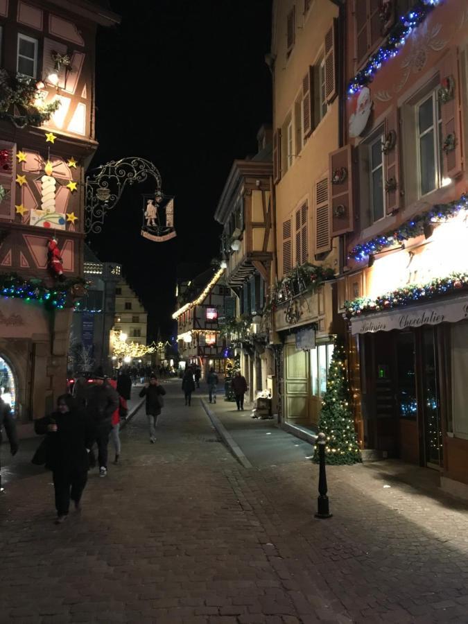 Alsace Clim Pres Colmar Jardin Balcon Parking Garage Velos, Motos Oberhergheim Eksteriør billede