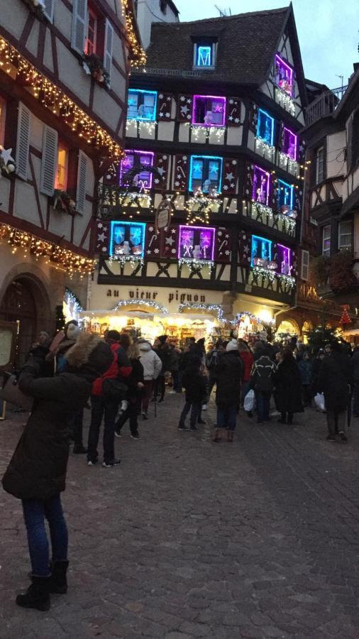 Alsace Clim Pres Colmar Jardin Balcon Parking Garage Velos, Motos Oberhergheim Eksteriør billede