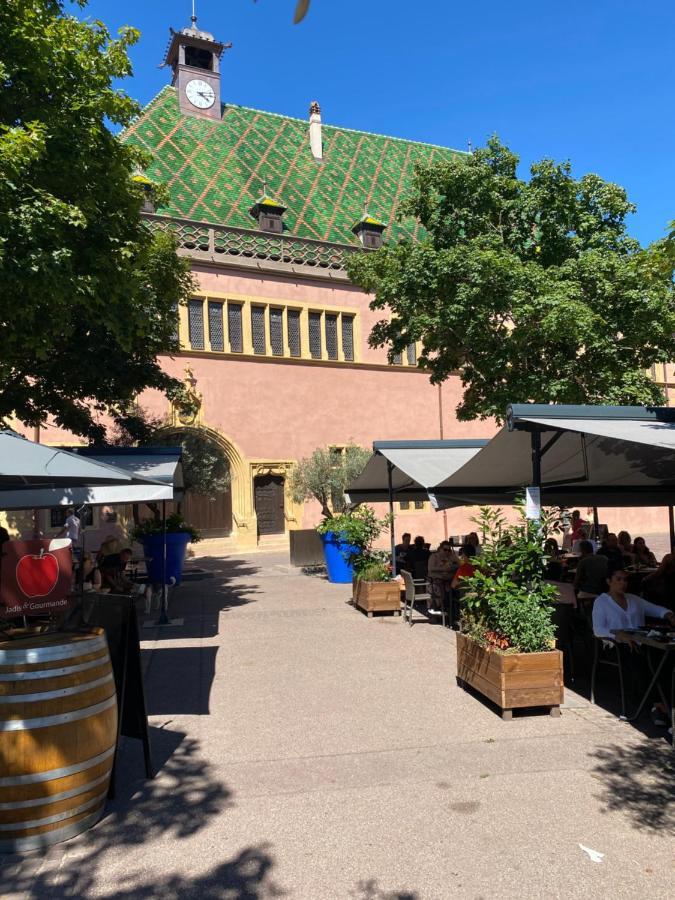 Alsace Clim Pres Colmar Jardin Balcon Parking Garage Velos, Motos Oberhergheim Eksteriør billede