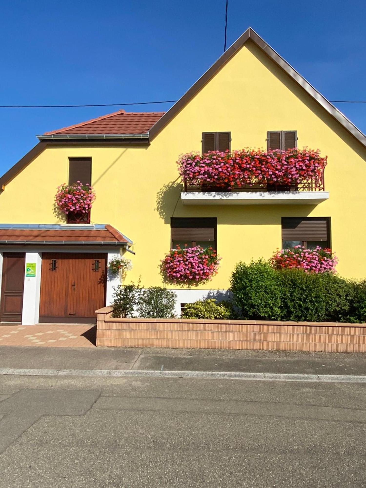 Alsace Clim Pres Colmar Jardin Balcon Parking Garage Velos, Motos Oberhergheim Eksteriør billede